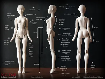 Шарнирные куклы BJD: их характерные особенности и размеры | βĴĐ Amino