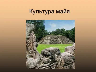 Цивилизация майя: история становления, развития и неожиданного упадка,  факты о культуре и достижениях, а также современные гипотезы