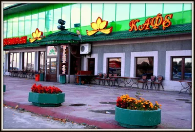 Банкетный зал ресторана Куракина дача на Леснозаводской улице - ТоМесто  Санкт-Петербург