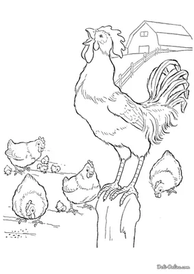 Курица Петух Курятнике Сельское Хозяйство Фото Деревни Курица Coop Петух  стоковое фото ©elenabond 288821354