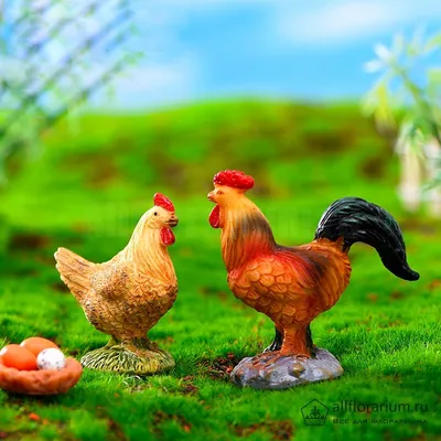 петух цыпленка изолированный курицей Стоковое Изображение - изображение  насчитывающей черный, пакостно: 10253513