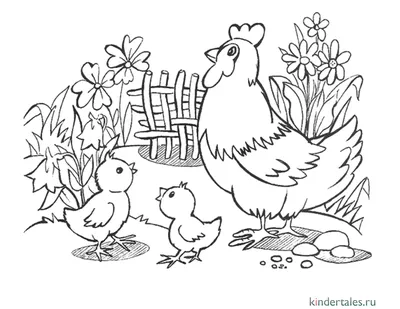 Курица с цыплятами иллюстрация вектора. иллюстрации насчитывающей ферма -  31229776