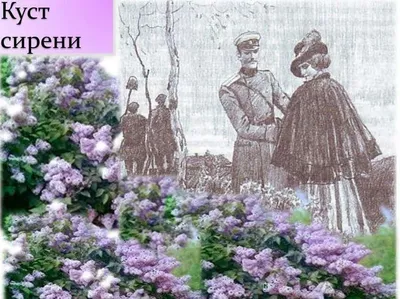 Theater decoration \"Lilac bush\" for kindergartens (preschool institutions)  🚼 buy at low prices from the manufacturer in Moscow