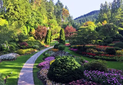 Самые красивые цветущие кустарники для вашего сада | Любимая усадьба | Дзен
