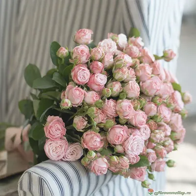 Купить Кремовые кустовые розы поштучно Ровно | UFL