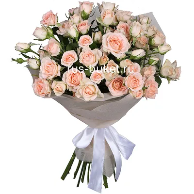 Ярко-розовые кустовые розы \"Лиана\" 60 см шт. заказать с доставкой в  Краснодаре