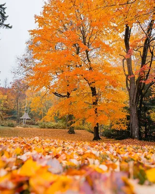 Matt Upham on Instagram: \"I could hang out here all day 🍁\" | Autumn  scenery, Autumn scenes, Fall pictures