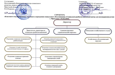 Структура учреждения