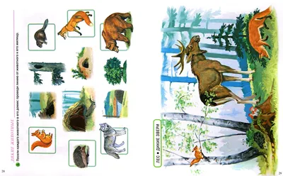 Иллюстрация 4 из 5 для Английский в картинках для детей. Интерактивный  тренажер | Лабиринт - книги. Источник: