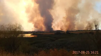 Детские лагеря Дубовского района Волгоградской области - путевки, цены 2024