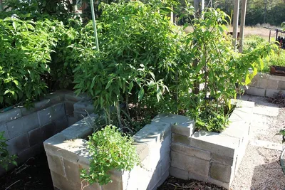 Интересные идеи для сада и огорода не как у всех: лайфхаки для дачи  Анастасия Истомина, блог Малоэтажная Страна