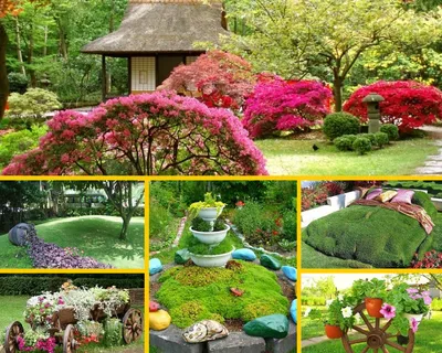 Дача. Интересные идеи | Идеи для садового дизайна, Садоводство на балконе,  Озеленение заднего двора