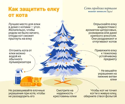 Лайфхаки в картинках: как избежать типичных новогодних подстав - 16 декабря  2017 - НГС24