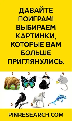 Пин от пользователя Pflüger на доске Sprüche | Мысли, Уроки жизни, Крылатые  выражения