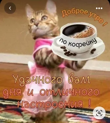 ✨✨✨Лайла тов - לילה טוב ! Огни ночного Ашдода Foto: M. Kazazjanz | ВКонтакте
