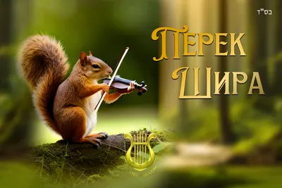 Бокер тов, хунтим товим