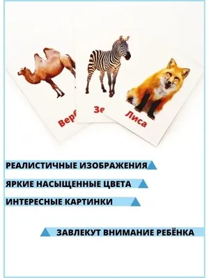 Обучающие плакаты, гобелены, Обучающие плакаты, элементы периодического  стола, декоративные ламинированные Плакаты для детей | AliExpress