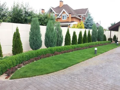 Ландшафтный дизайн, который сделает ваш сад более уникальным и привлекательным.
