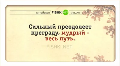Взять жизнь за яйца: 31 мотивирующая цитата для настоящих мужиков |  BroDude.ru