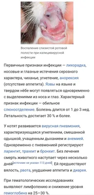 Ложный круп - причины появления, симптомы заболевания, диагностика и  способы лечения