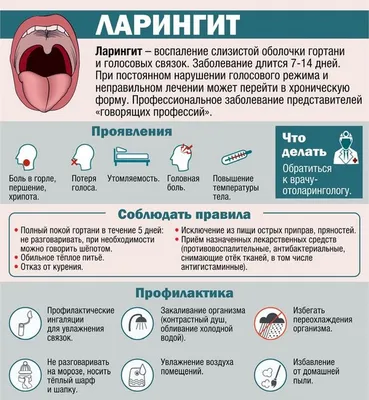 Ларингит - Это Воспаление Голосового Аппарата. Нормальная И Воспаленная  Гортань. Поперечный Разрез Голосового Аппарата. Голосовые Связки,  Щитовидный Хрящ И Трахея. Анатомия Человека. Векторная Иллюстрация Для  Медицинского И Образовательного ...