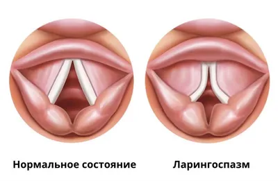 Государственное бюджетное дошкольное образовательное учреждение детский сад  № 112 Невского района Санкт-Петербурга - Новости