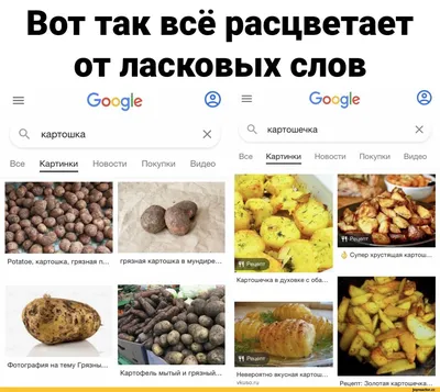 💗 Нежная открытка, спокойной ночи. Открытка с зайцем и цветами на розовом  фоне ласковых и нежных снов. | приятных снов сладких снов | открытка,  картинка 123ot