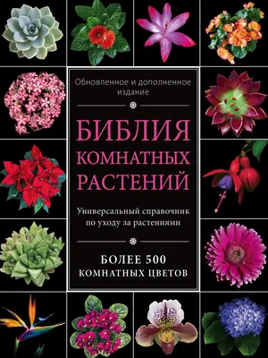 Картинка Латании, которая станет идеальным подарком для любителей растений и природы