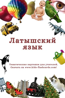 1300+ Бесплатных Карточек на Латышском в PDF Формате