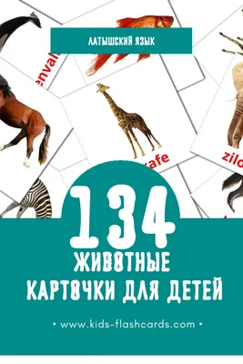 134 Бесплатных Картинок Животные для Обучения на Латышском | PDF