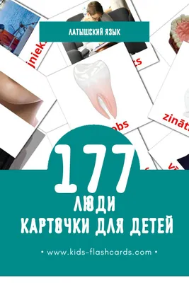 177 Бесплатных Картинок Люди для Обучения на Латышском | PDF