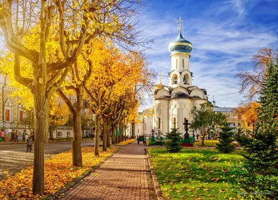 Троице-Сергиева Лавра, Сергиев Посад (Сергиево-Посадский городской округ),  фотография. художественные фотографии В ночной подсветке со смотровой  площадки