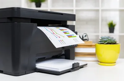 Цветной лазерный принтер Xerox C230 A4 (арт. C230V_DNI) купить в OfiTrade |  Характеристики, фото, цена