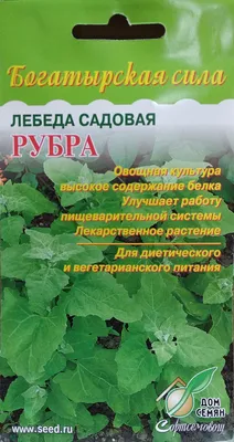 Лебеда — Викицитатник