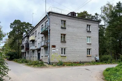 Ломоносовский район, прочие н. п., Лебяжье, Комсомольская улица, 5 — Фото —  PhotoBuildings