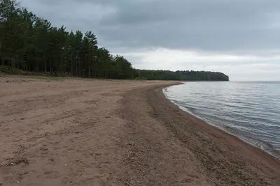 Пляж в Лебяжьем на Финском заливе — как доехать, отзывы, фото, на карте