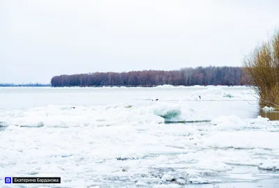 Ледоход на реке Лене продвинулся на 215 км за сутки - Информационный портал  Yk24/Як24