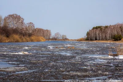 Вскрытие реки Колыма у города Среднеколымск ожидается в ближайшие  сутки-трое - Новости Якутии - Якутия.Инфо