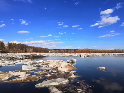 Ледоход на реке Северная Двина наблюдается в районе посёлка Абрамково