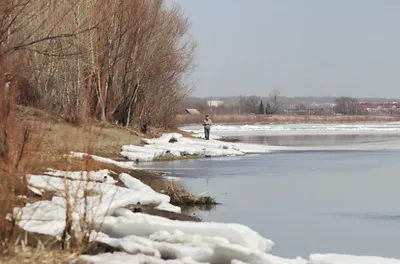 На Ямале ледоход начался на реке Надым | Север-Пресс