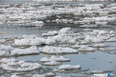 Ждем верховье: ледоход на реке Бия начался лишь в окрестностях Бийска |  11.04.2023 | Бийск - БезФормата