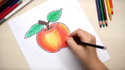 100+ легких рисунков для срисовки для детей