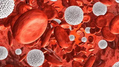 Лейкоциты в крови - уровень нормы у мужчин и женщин, причины пониженного и  повышенного уровня лейкоцитов в крови