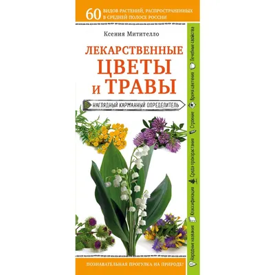 Семена лекарственных трав и растений купить в Украине по выгодной цене |  Веснодар