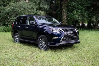 2023 Lexus GX Review, Pricing | New GX SUV Models | CarBuzz