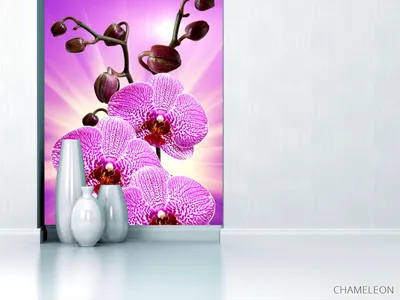 Фотообои леопардовая орхидея с сиянием», (арт. 20484) - купить в  интернет-магазине Chameleon