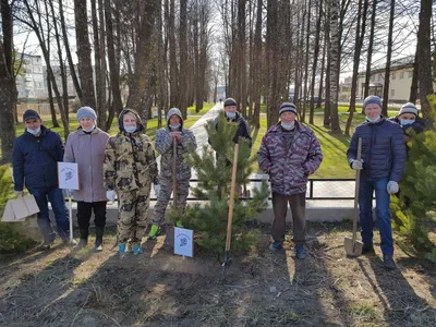 Подарок Пакет Лесник с конфетами купить в интернет-магазине | \"Хочу  подарить детям\"