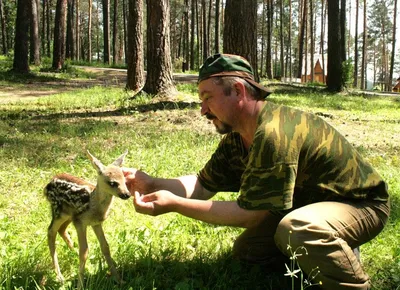 Жизнь лесника. Как труд одного человека спасает гектары казахстанского леса  | informburo.kz