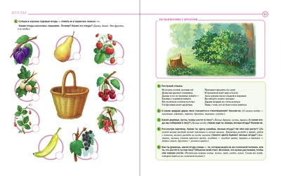 Тетрадь для общения и развития детей \"Лесные ягоды\" СФ-Т-21 в  Москве|CLEVER-TOY.RU