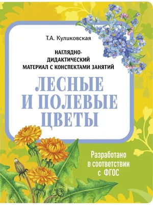 Учим растения. Учим цветы с ребенком. Полевые цветы. Развивающий мультик  для детей - YouTube